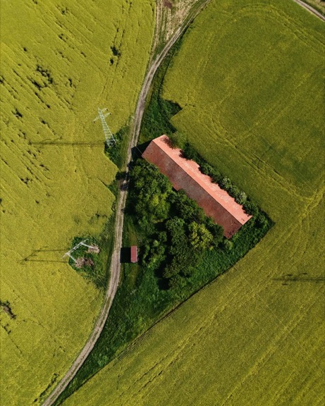 Green fields landscape